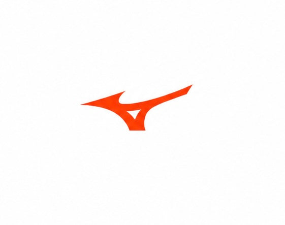 Mizuno