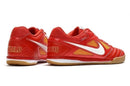 Chuteira/Tenis Nike SB Gato - Futsal